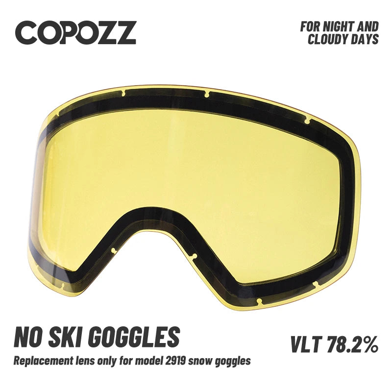 Professional Ski Glasses