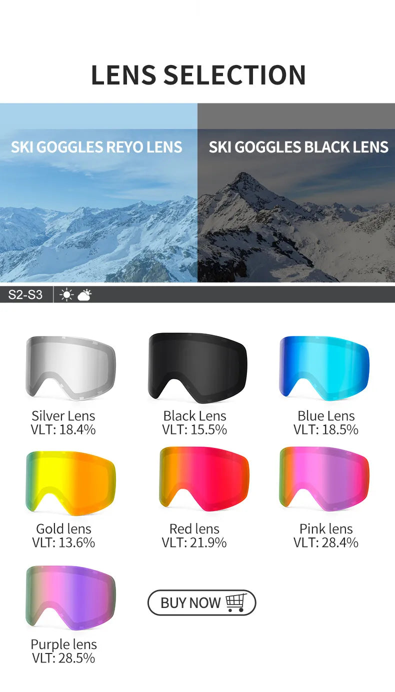 Professional Ski Glasses 