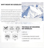 Professional Ski Glasses 