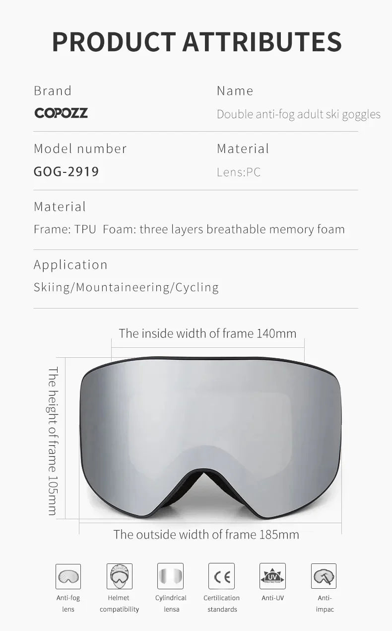 Professional Ski Glasses 